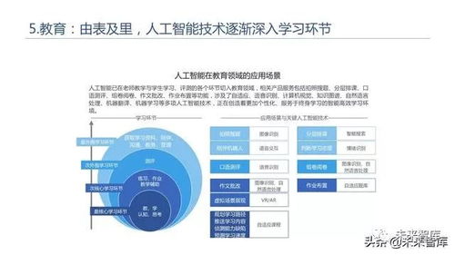 2019年人工智能發展白皮書 人工智能應用軟件開發
