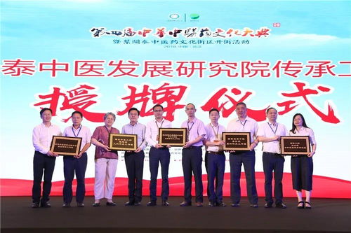 90張圖,速覽大典暨葉開泰中醫藥文化街區開街活動精彩瞬間