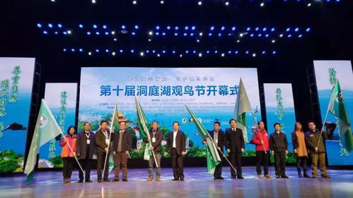 守護飛翔的約定 第十屆洞庭湖觀鳥節開幕側記
